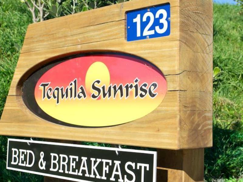 Napier B&B - Tequila Sunrise Eskdale Екстериор снимка
